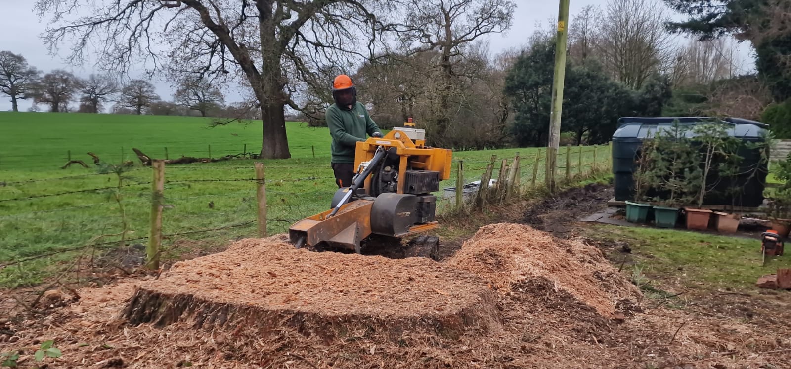 Tree stump removal service in Barnet with stump grinder